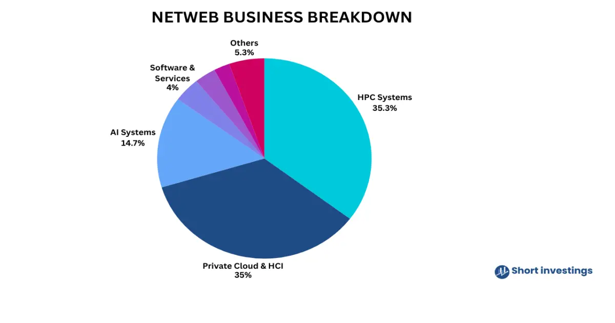 Netweb Technologies Business Model Segment-Wise Breakdown